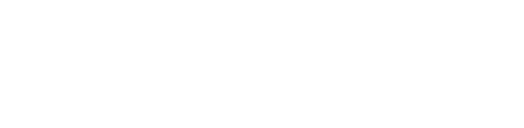 Minnesota State Logo